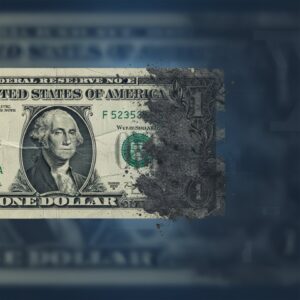 フィデリティ、ドル基軸システム移行の兆候を指摘：国家・中央銀行の動向 [ZH-TW MOCK]