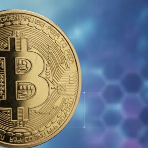 Is Bitcoin Decoupling from Tech Stocks? Capital Shifts Toward AI and the Risk of Falling Below $60,000